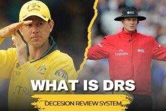 ক্রিকেটে DRS