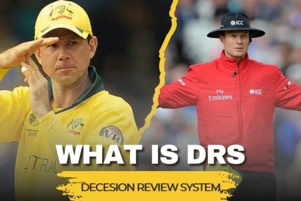 ক্রিকেটে DRS